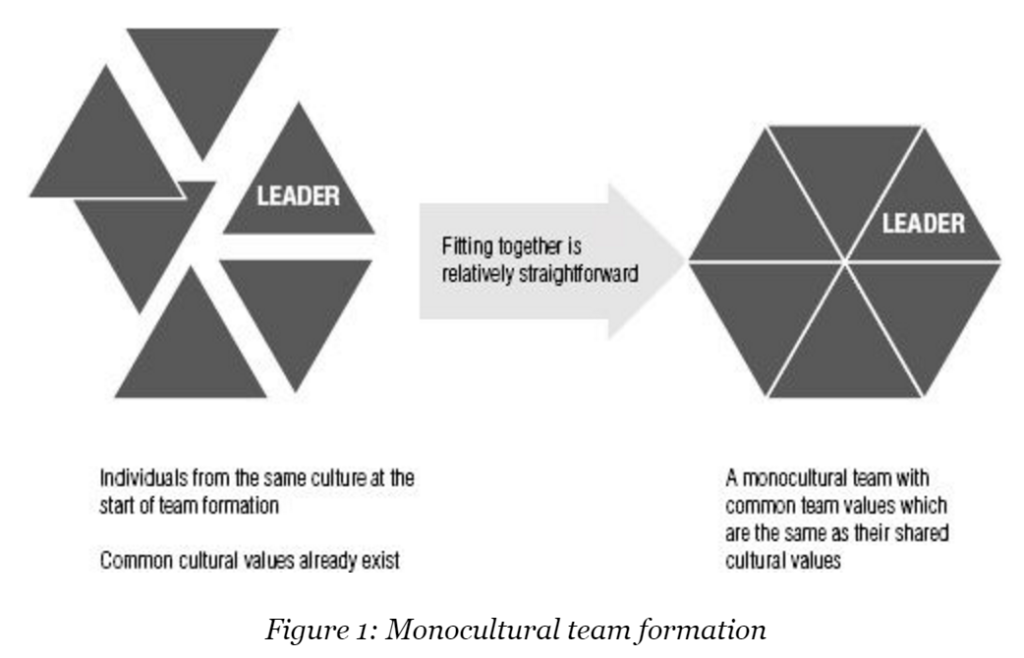 monocultural-team
